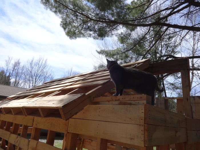 Quality Control is checking the roof. She's not impressed