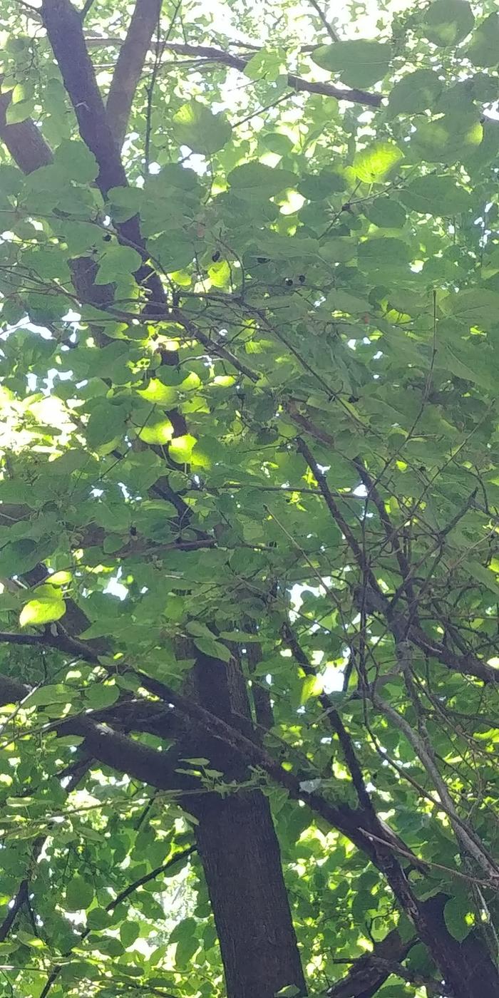 [Thumbnail for 0531201307b.jpg]