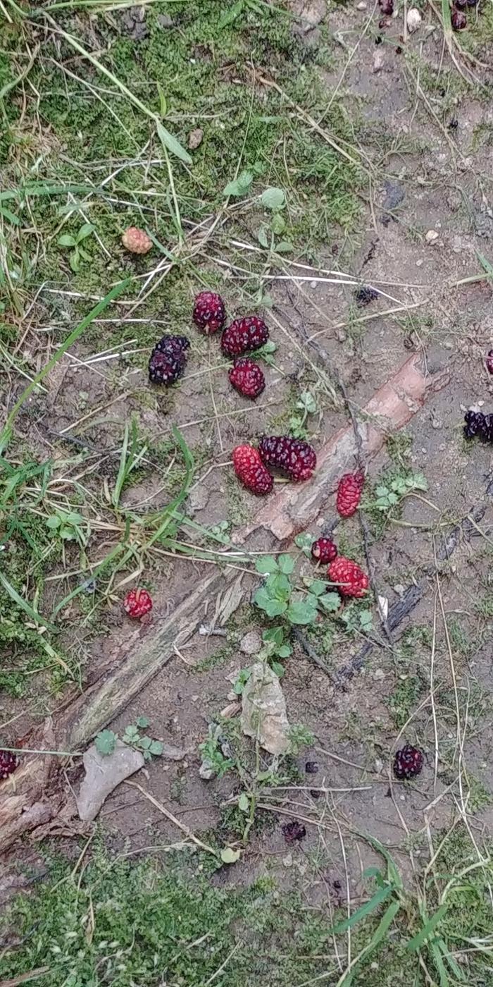 [Thumbnail for 0531201308.jpg]