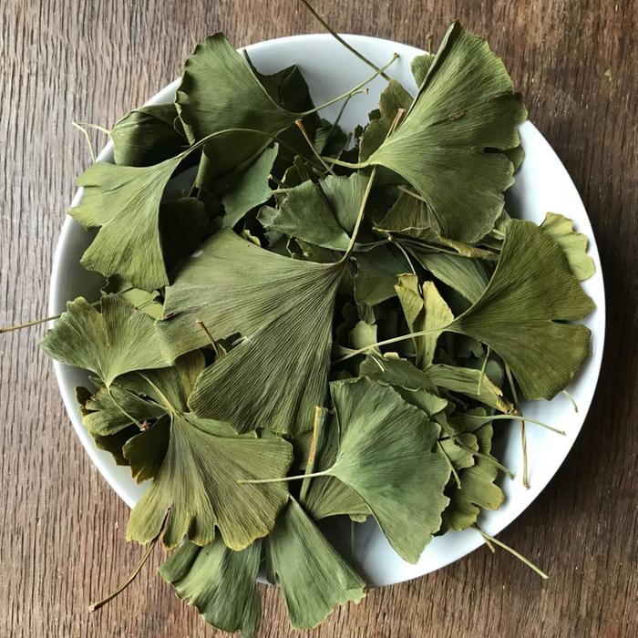 Dried Ginkgo biloba leaf