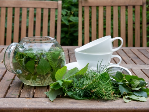 Medicinal tree tea