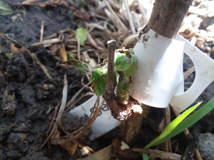 [Thumbnail for IMG_20200615_132018.jpg]