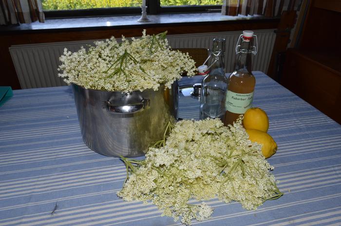 Elderflower cordial