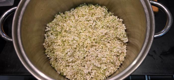Elderflowers