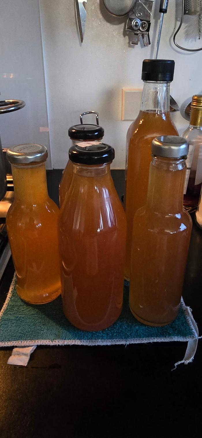 Bottles of elderflower cordial