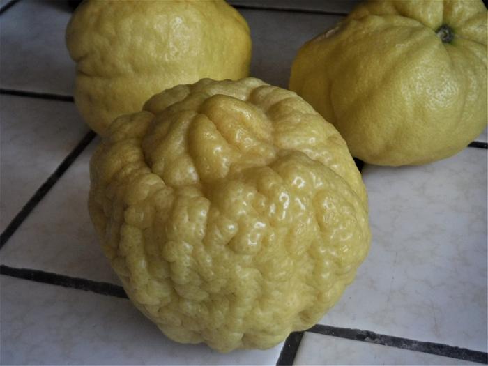 Strange Lemons