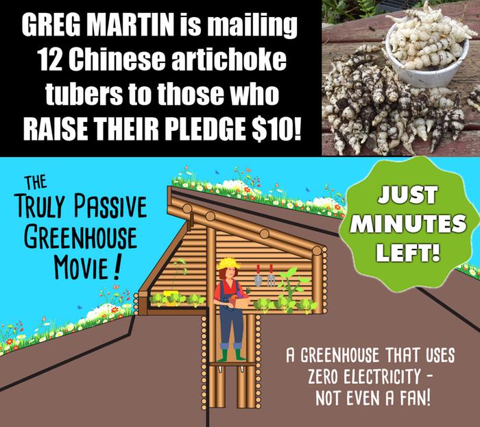 EEEK! Less than an hour left!!!