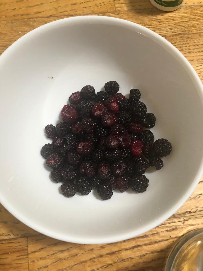 Bowl of Black Raspberries