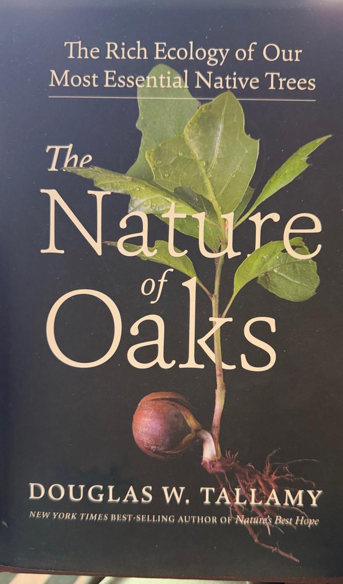 Oaks