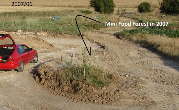 5 Years Later ---The compost Pile area