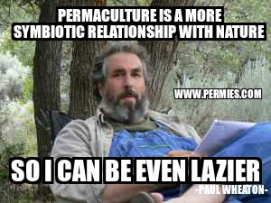 [Thumbnail for Paul-Wheaton.jpg]