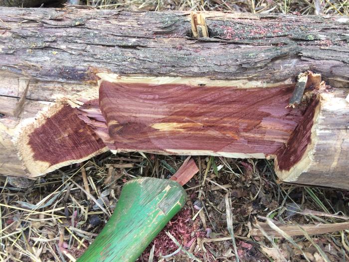 Rafter seat rough-our, started with electric chainsaw, to be finished by hand.