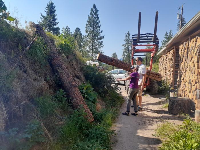 Placing logs for more hugel scaffolding 