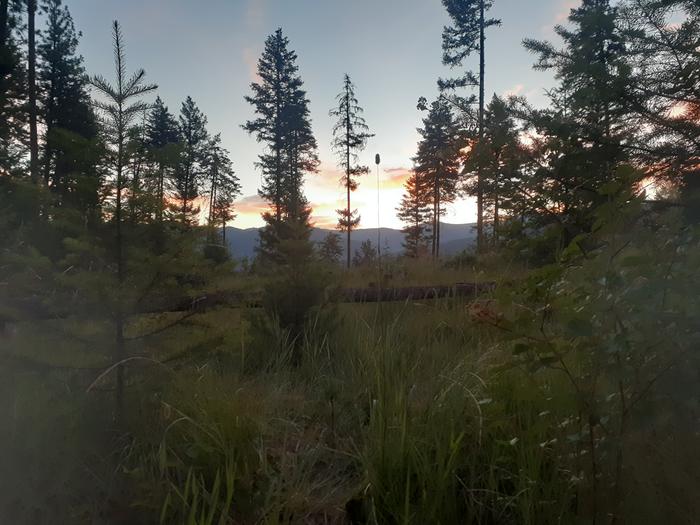 This is the view from my tent this morning.
