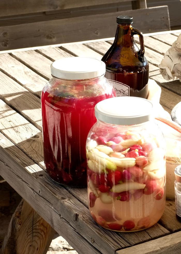 ferments fermenting 