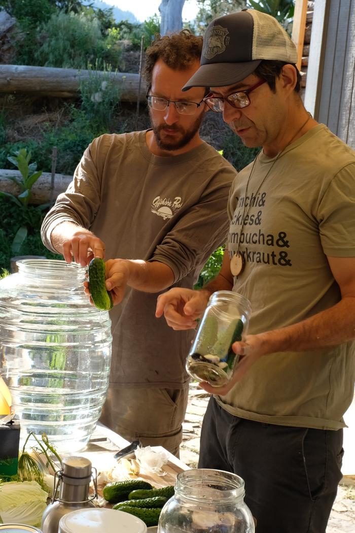 kyle and austin examine a cucumber