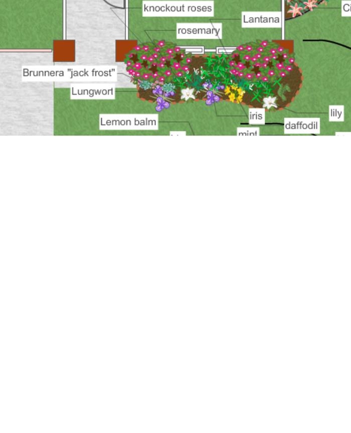 [Thumbnail for Rose-Bed.png]