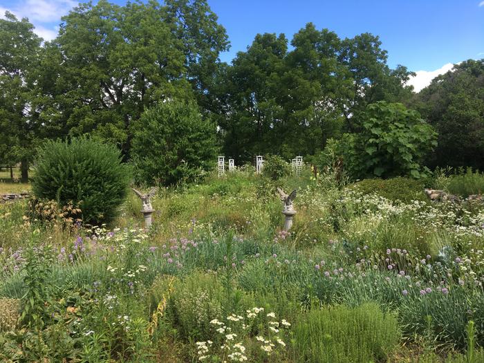 [Thumbnail for IMG_2930.JPG]