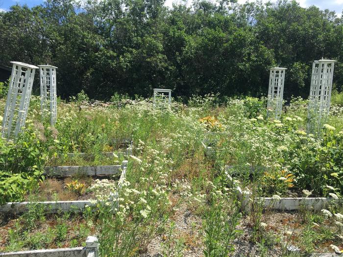 [Thumbnail for IMG_2951.JPG]