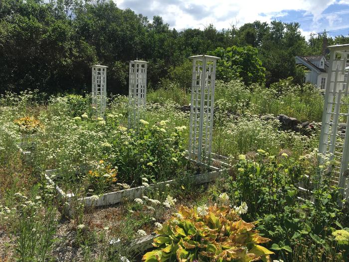 [Thumbnail for IMG_2950.JPG]