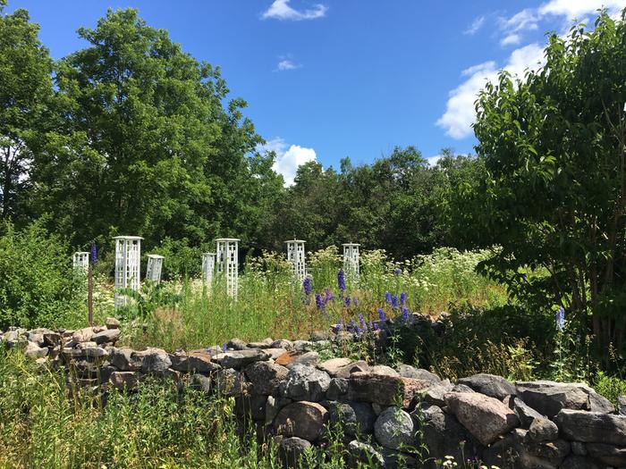 [Thumbnail for IMG_2947.JPG]