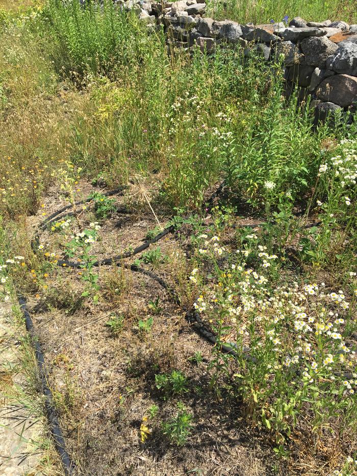 [Thumbnail for IMG_2946.JPG]