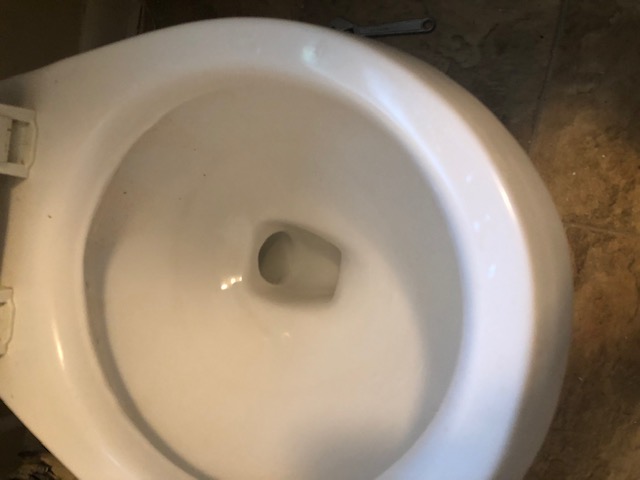 Old toilet, short and round (bad pic, apologies)