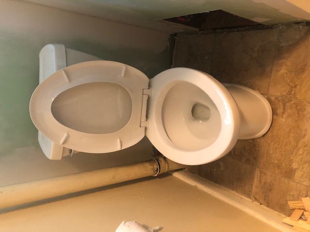 New toilet, tall and elongated