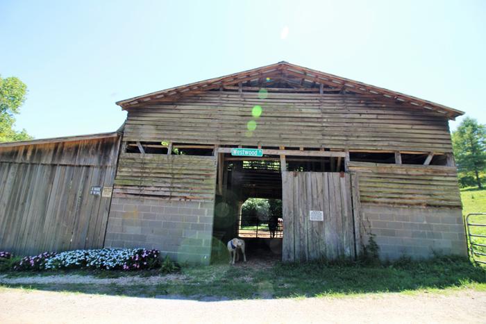 Horse barn