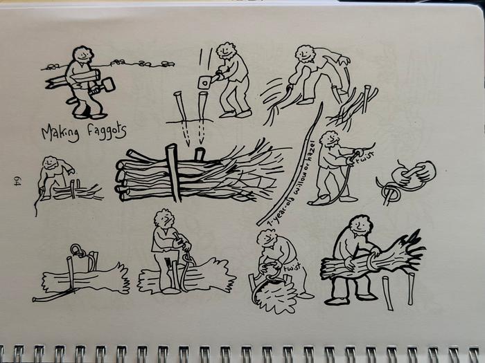 Bundling coppicewood sticks.