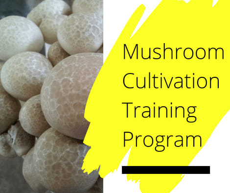 [Thumbnail for mushroom-cultivation-workshop.jpg]