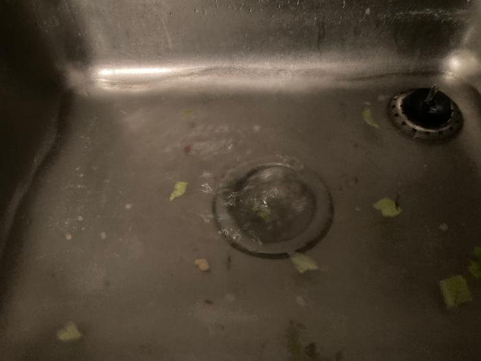 Backed up sewer line venting through my kitchen sink 