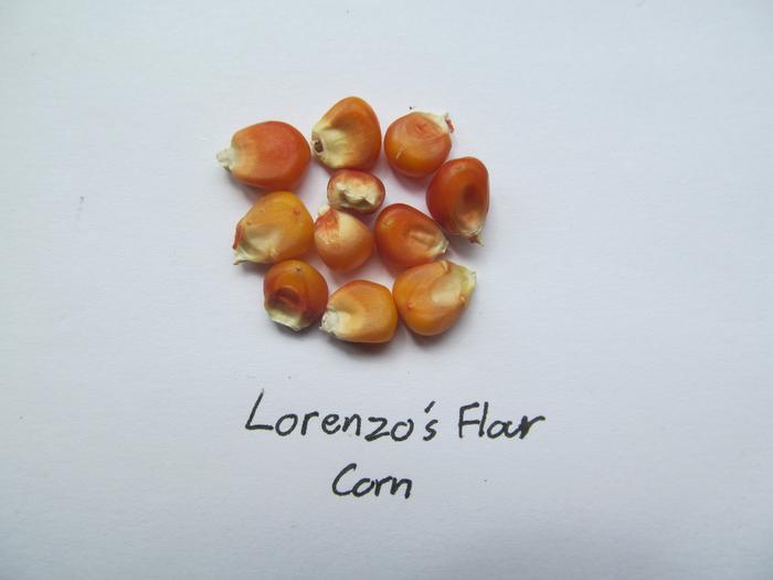 Lorenzo's Flour corn