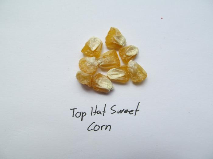 Top Hat Sweet corn