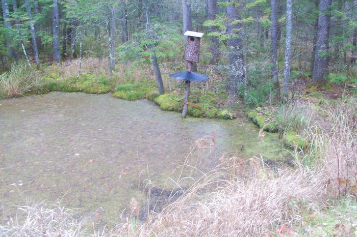 Protecting a duck house