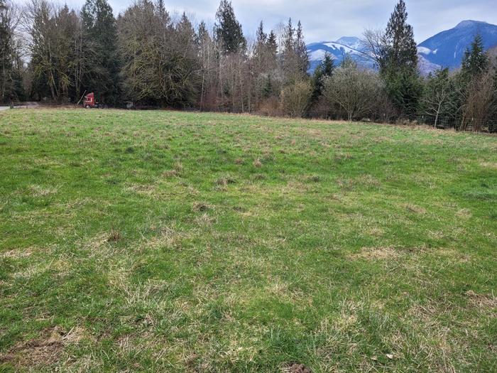 Pasture before spreading.