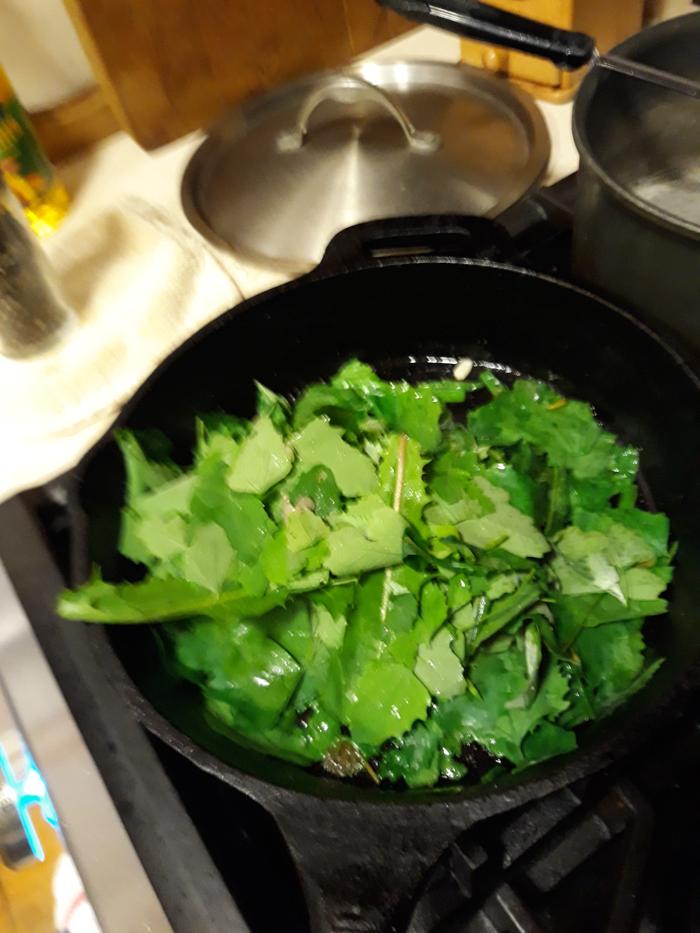 Lamb's quarters and dandelion