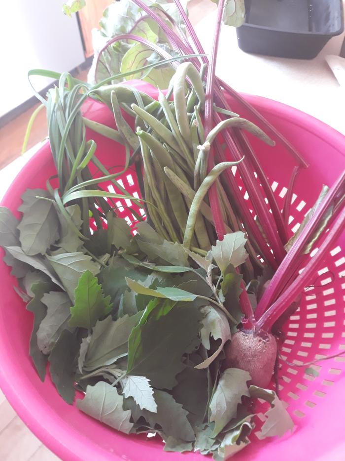 Vegetables in colander