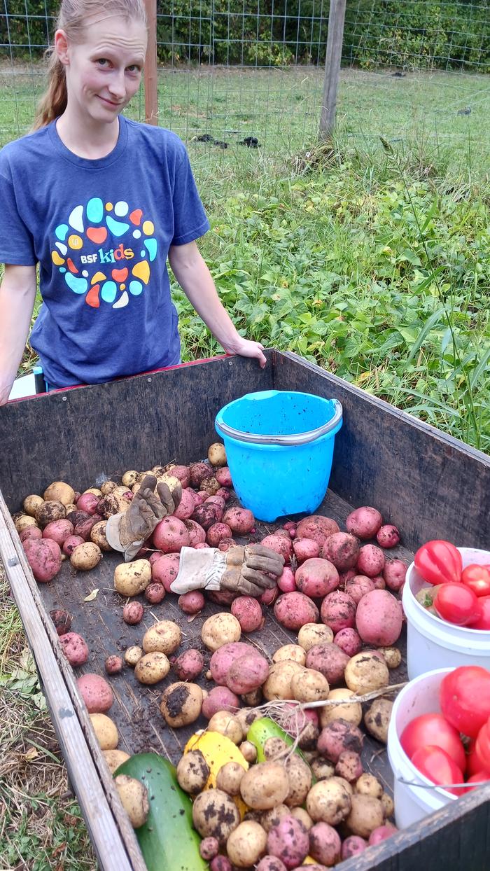 a bountiful harvest in a black cart