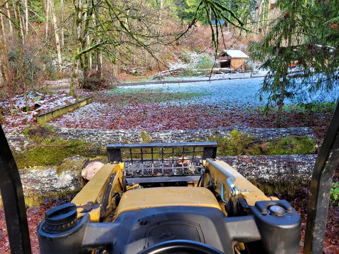Bucked into two 14ft logs.