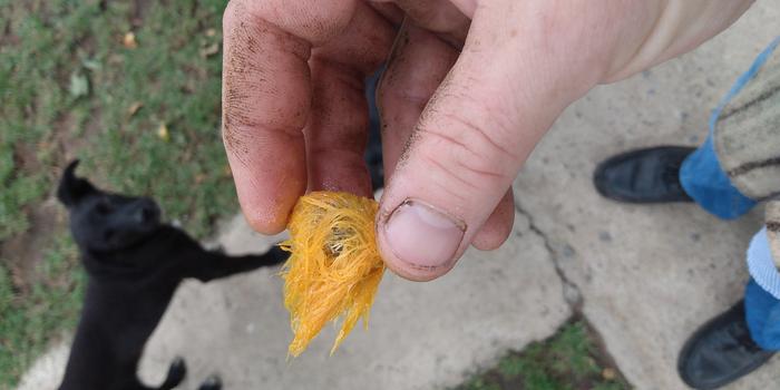 [Thumbnail for IMG_20200709_093052694.jpg]