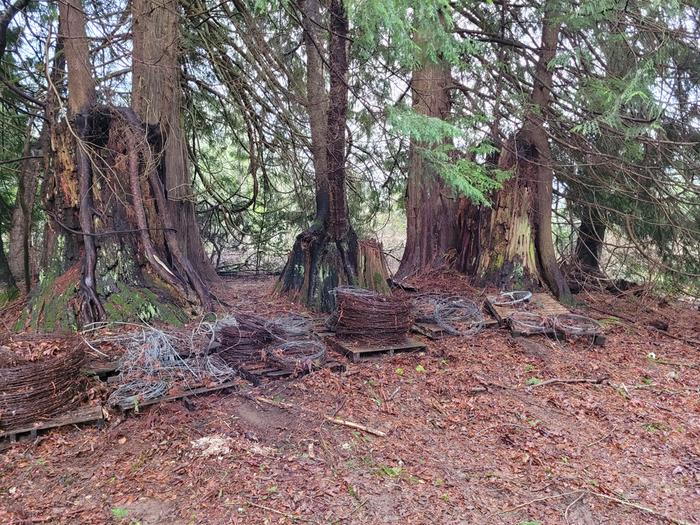 The area after setting up the hidden boneyard.