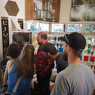 giving a tour at our beekeepers club