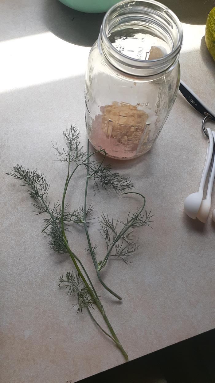 [Thumbnail for 20200801_141510.jpg]