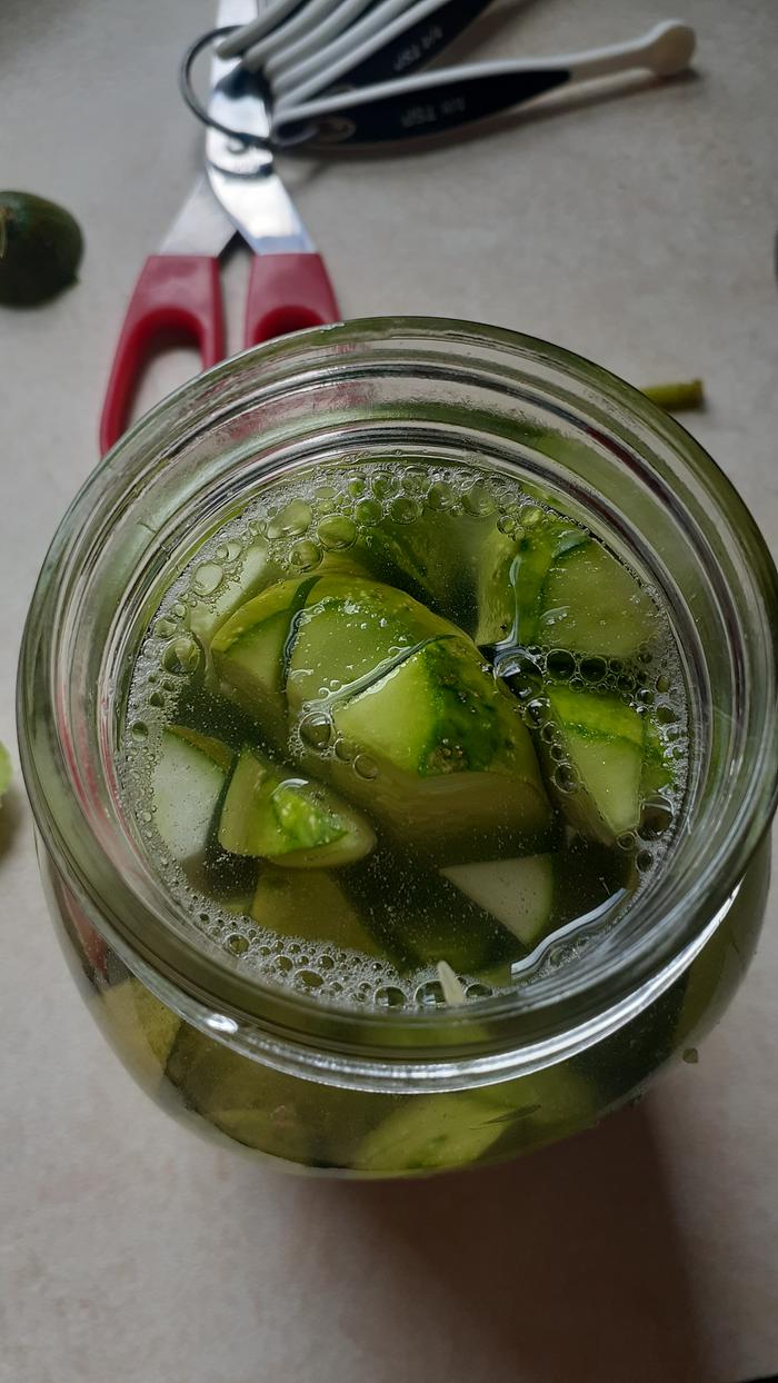 [Thumbnail for 20200801_141821.jpg]