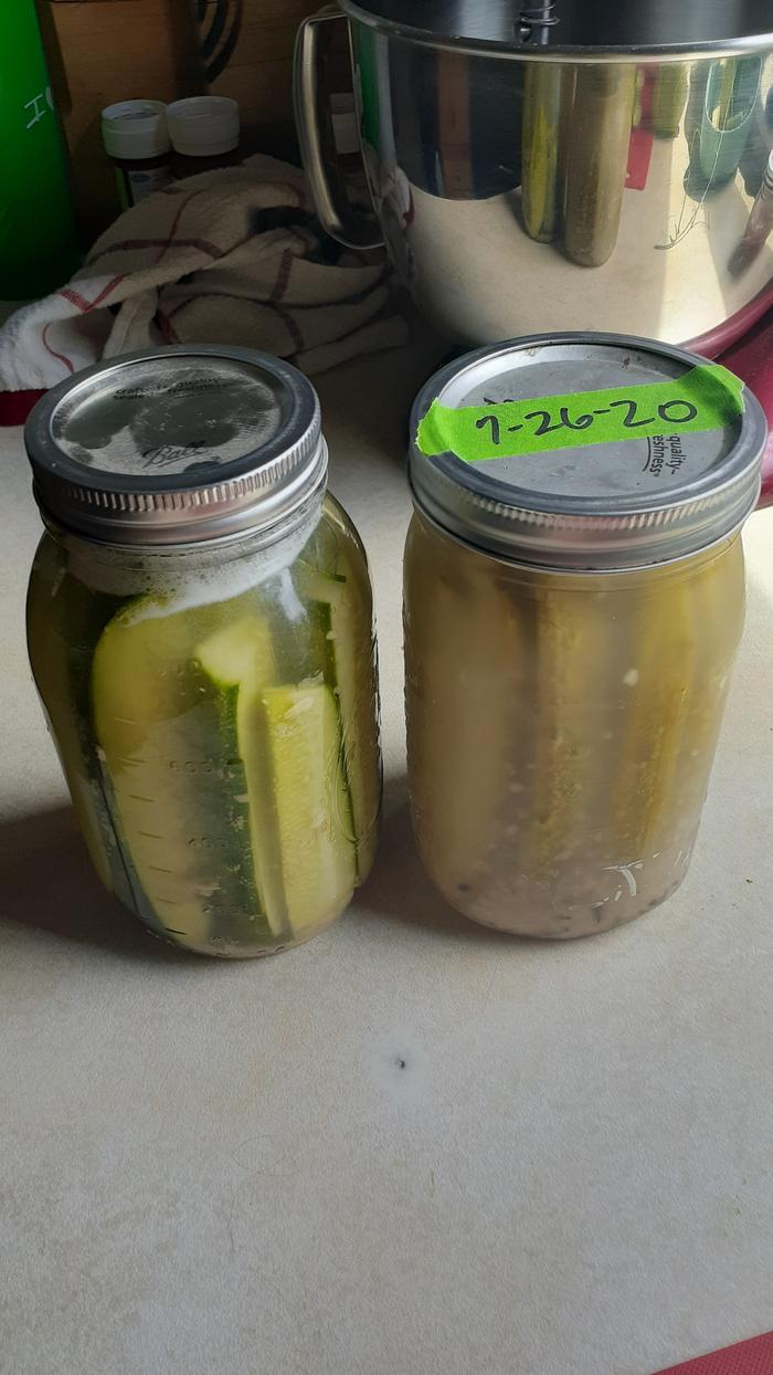 [Thumbnail for 20200801_142104.jpg]