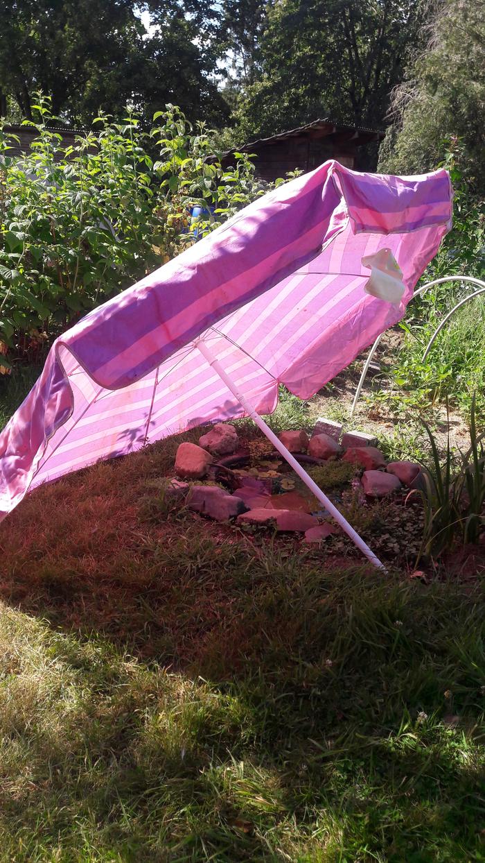 Pond protection 