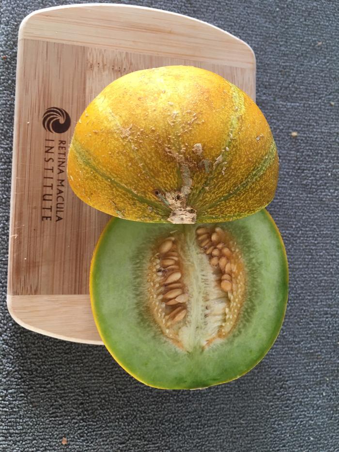 galia melon (image courtesy of my father in law)