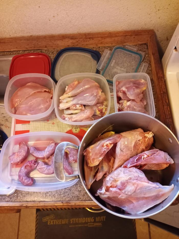 4 birds broke down and in the fridge in and a pot of stock started. 