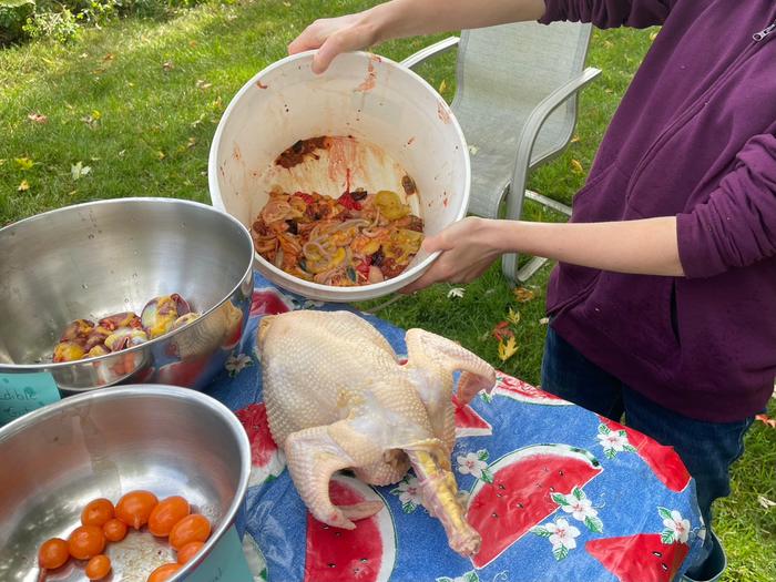 The chicken with edible and inedible guts